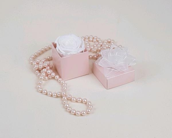 Mini Flower Box white